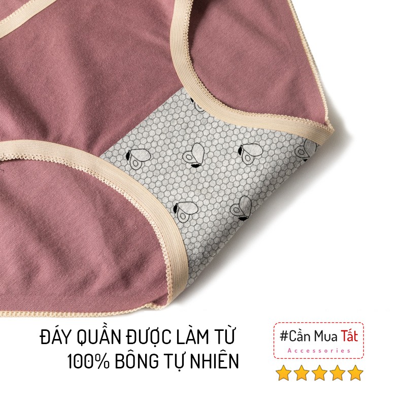 Quần sịp nữ kháng khuẩn viền ren cao cấp chất liệu 100% cotton quần lót nữ Vegetation | BigBuy360 - bigbuy360.vn