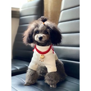 Vòng cổ trường thọ cho chó mèo