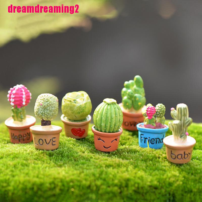 Cây Xương Rồng Mini Trang Trí Sân Vườn