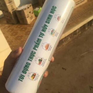🏵️TÚI ĐỰNG THỰC PHẨM TỰ HỦY SINH HỌC
