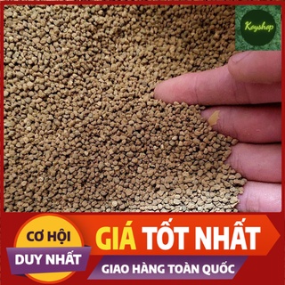 100gr phân nền akadama dùng trong hồ thuỷ sinh, trồng cây cảnh, sen đá, bonsai, lan,...