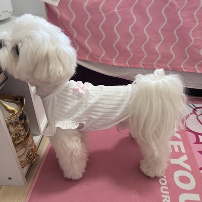 Áo vai bèo đính nơ dành cho thú cưng