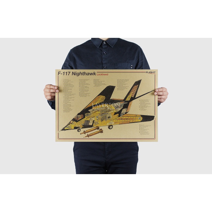Tranh treo tường trang trí hình chiến binh Nighthawk F117 51x36cm