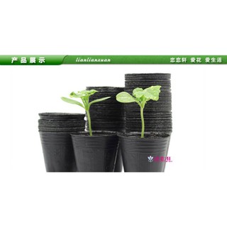 1kg Bầu ươm cây nilong