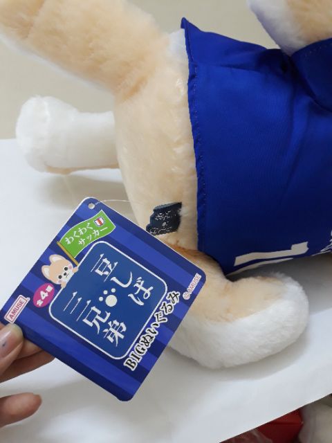 Gấu bông cún shiba amuse