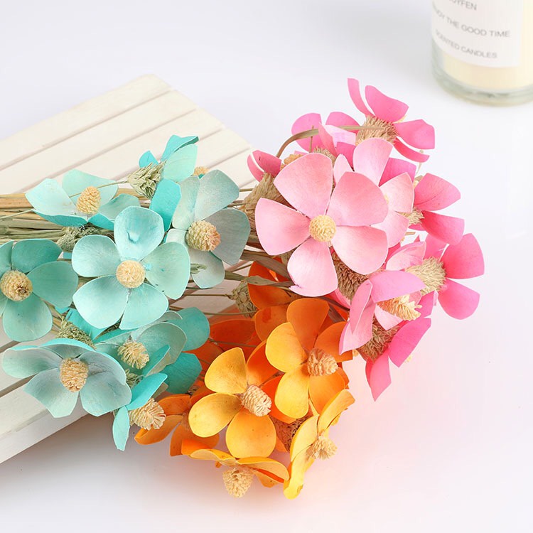 Hoa Cúc cánh bướm handmade Sấy Khô, Hoa khô decor trang trí