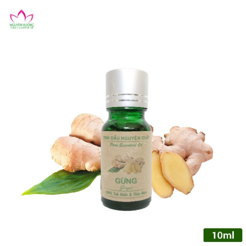 [COMBO 1 MÁY + 1 CHAI 10ML]MÁY PHUN TINH DẦU TRỰC TIẾP : DÙNG CHO Ô TÔ.