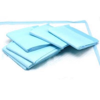 Lẻ miếng giấy thấm hút khay WC chó mèo size M