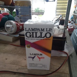 Gillo lampam