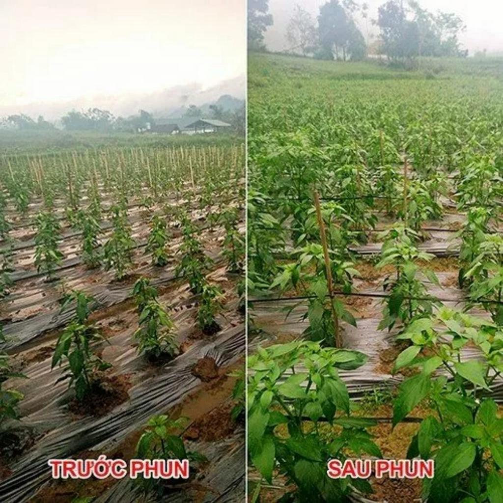 Chế phẩm sinh học nano NBC - kích thích tăng trưởng tự nhiên - 0,5 lít