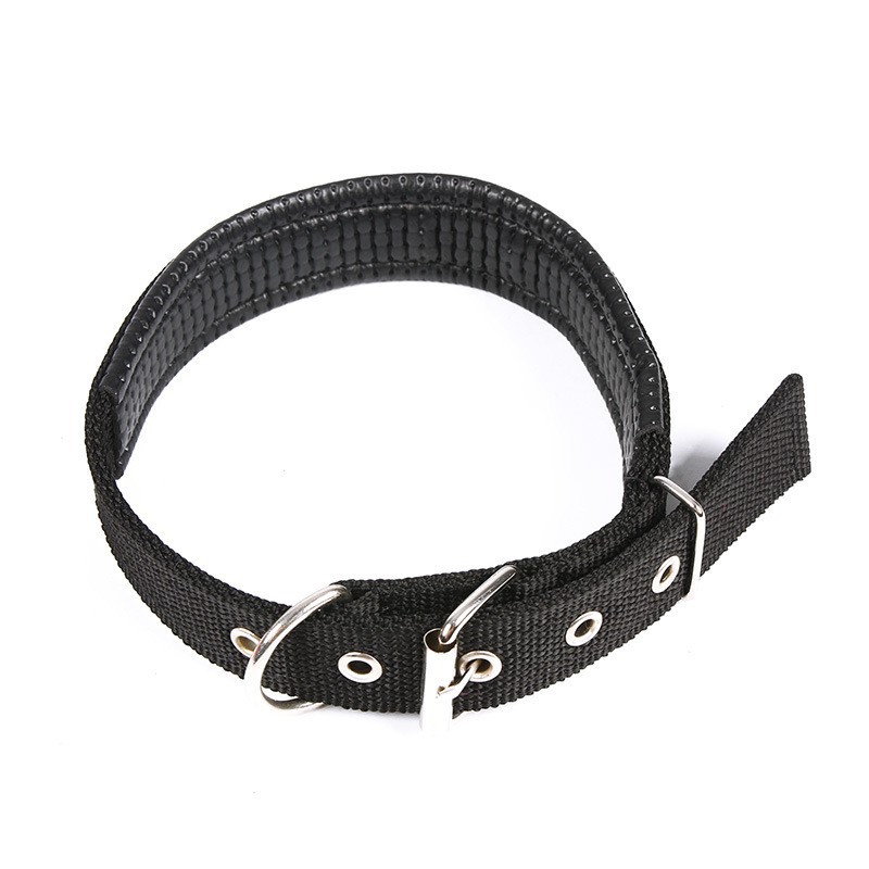 Vòng Cổ Chó, Vòng Cổ Chó Có Lớp đệm sau cổ, vòng cổ từ 28cm - 63cm, V4