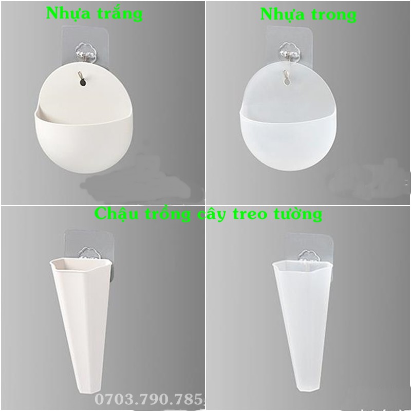 Chậu nhựa trồng cây treo tường-TẶNG MÓC TREO