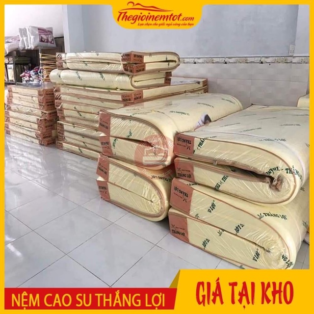 [ Mã HLNOITHAT giảm 10% tối đa Nệm cao su non AMERICA 10 cm