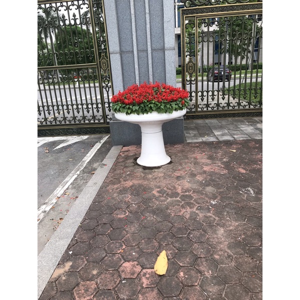 Khuôn quay chậu cảnh
