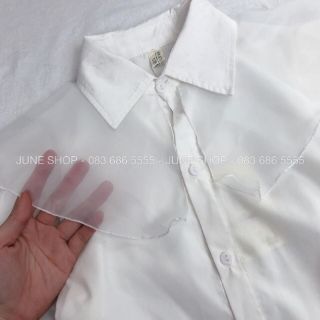 Bán sỉ áo sơ mi bánh bèo