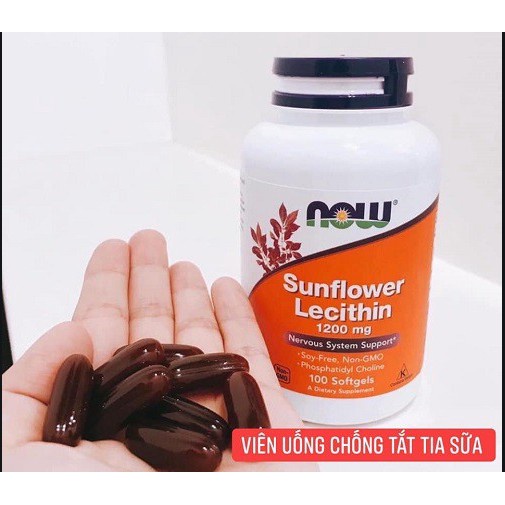 Viên uống tắc tia sữa Lecithin 1200mg - Now Sunflower Lecithin 100v