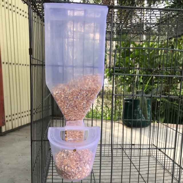 COMBO 5 máng ăn cho gà đá, chim cảnh
