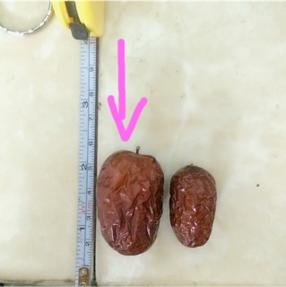 Táo tàu đỏ có hạt loại lớn (size đại)