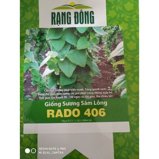 Hạt giống Sương sâm lông 10 hạt ( lá dùng làm sương sâm , thạch )❤️FREESHIP XTRA❤️