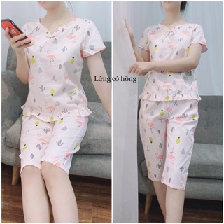 Bộ đồ ngố cộc tay