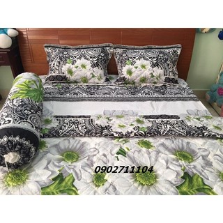 Bộ ga áo gối cotton korea
