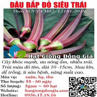 5gram hạt giống đậu bắp đỏ