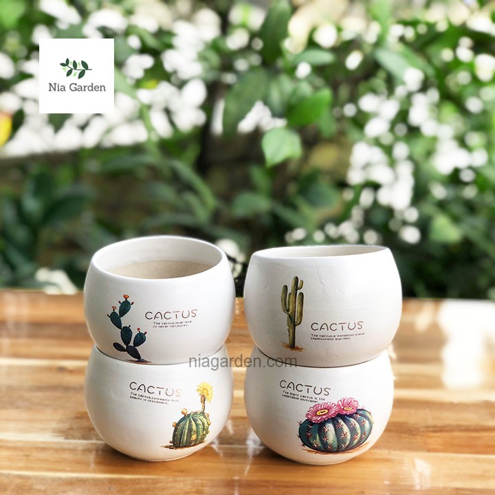 Chậu hạt dẻ in họa tiết 8x8cm trồng sen đá xương rồng cây để bàn mini Nia Garden N2