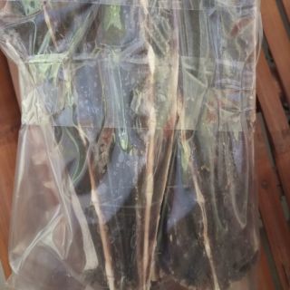 Khô cá đuối đen