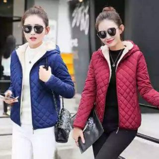Áo khoác trám trần bông Có sẵn và oder