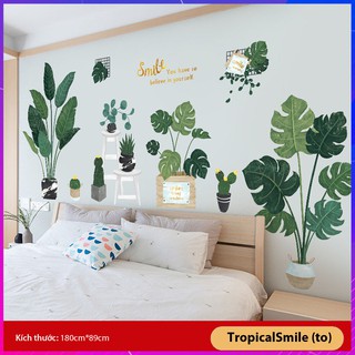 Tranh dán tường trang trí, decan dán tường phòng ngủ, phòng khách cực xinh (Tropical Smile - TO) [XỊN]
