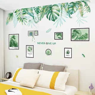 Decal dán tường Combo tán lá xanh và khung ảnh