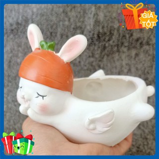 Chậu Thỏ thiên thần dễ thương - Trồng sen đá, cây mini - Quà tặng ý nghĩa