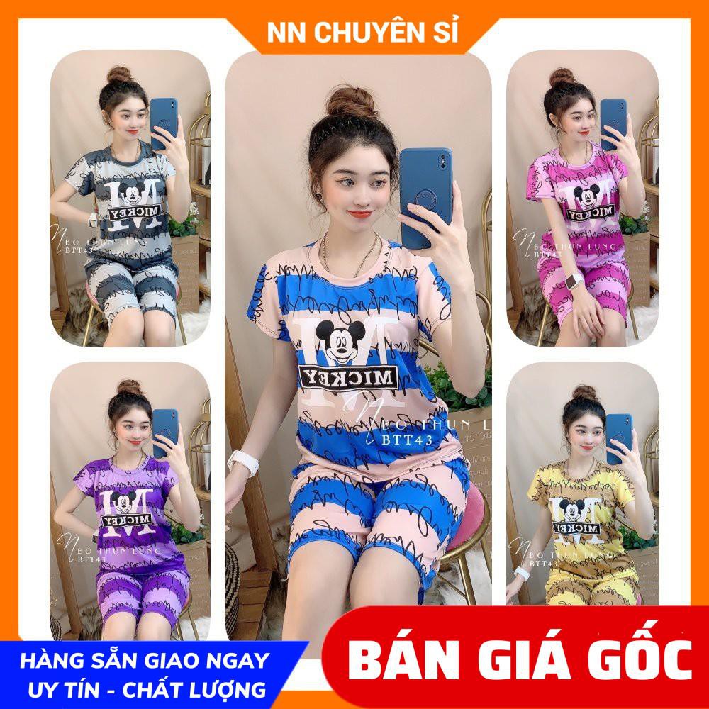 Đồ bộ mặc nhà ⚡ Đồ bộ nữ dễ thương  ⚡  Chất vải thun mềm mịn họa tiết cực xinh BTT43 ⚡Ảnh thật ⚡