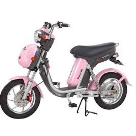 Đùi xe đạp điện Ninja giá 1 đôi 2 bên