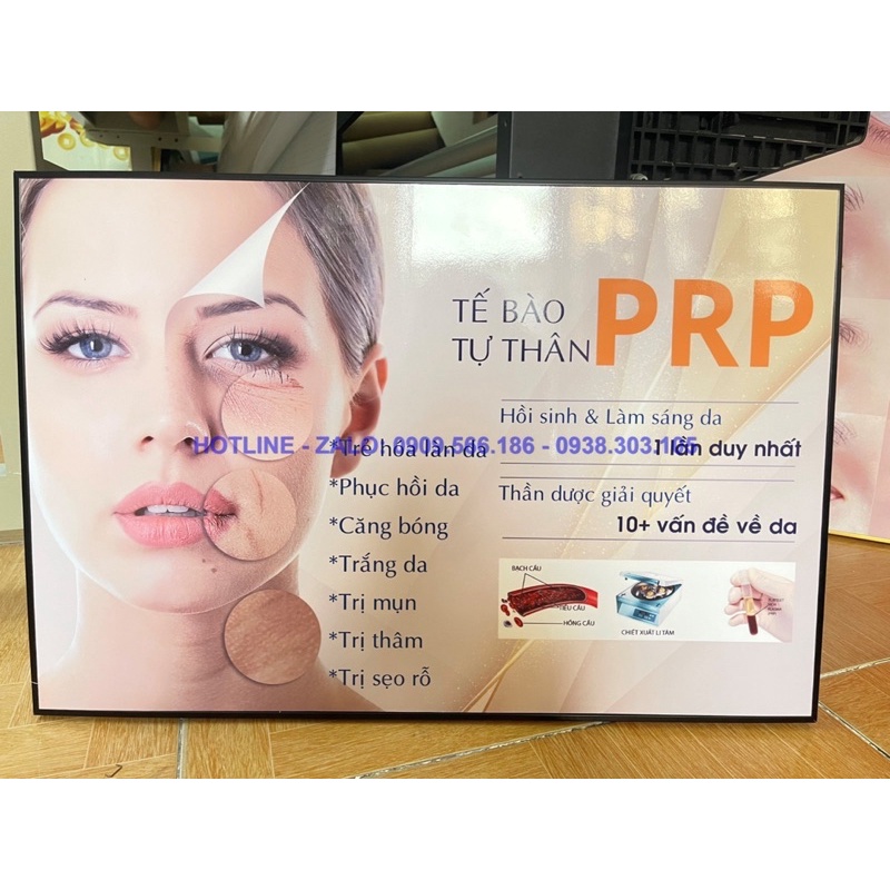 TRANH SPA CHĂM SÓC DA SANG TRỌNG HIỆN ĐẠI CHO SPA THẨM MỸ VIỆN