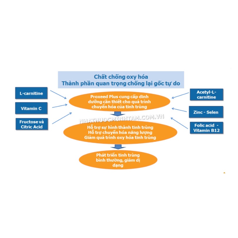 Proxeed Plus  dành cho nam giới