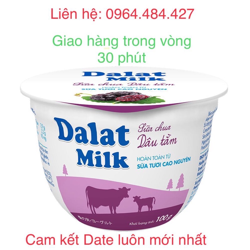 Sữa chua dâu tằm Dalatmilk 100g