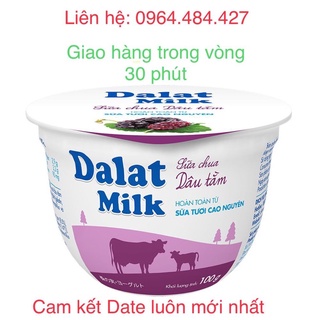 sữa chua dâu tằm Dalatmilk 100g ( Chỉ giao khu vực tp Hcm)