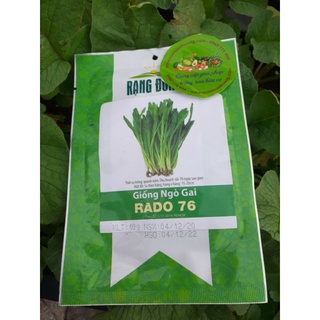 [Rạng Đông] Hạt Giống Mùi Tàu/ Ngò Gai Rado 76  Dễ Trồng 10gr