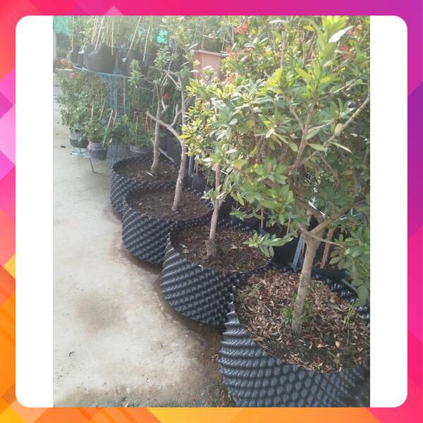 50M BẦU V6 CAO 35CM TẶNG KÈM ỐC VÍT ( KHAY TÚI ƯƠM , DỊCH TRUYỀN CHO CÂY, LƯỚI CHỐNG NẮNG)