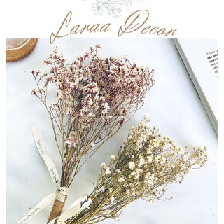 Combo 2 Bó Hoa khô 100gr - Hoa Mận Khô và Hoa Sophila Trắng - Laraa Decor