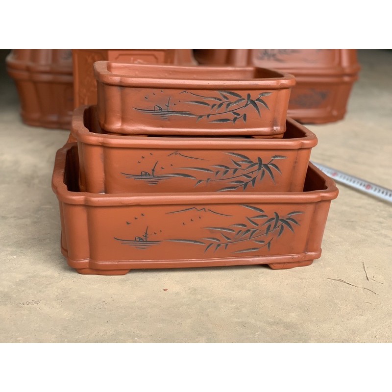 Ang trồng cây bonsai