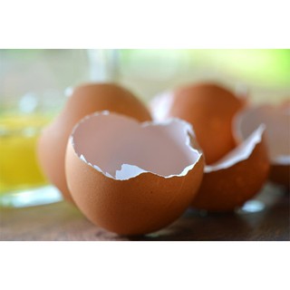 Bột Vỏ Trứng Gà Sạch (400g)