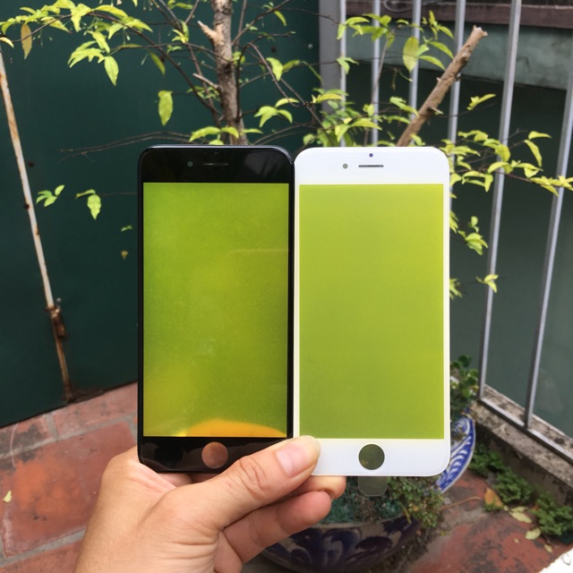 Kính ép liền roăng iphone 6G