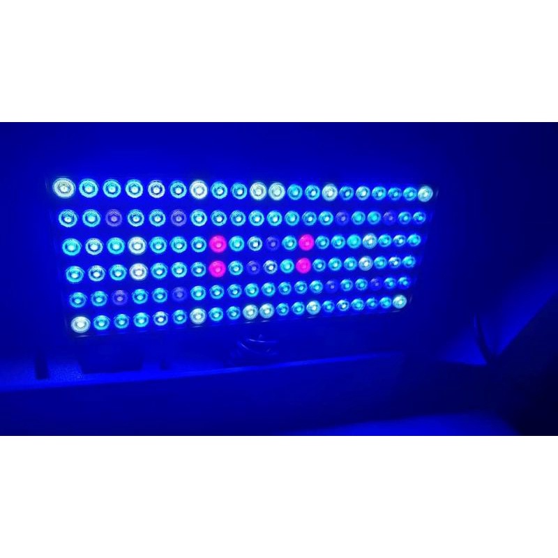 Đèn week cho cá biển, san hô, hải quỳ Z400D Sea, Week Aqua Z400D Sea