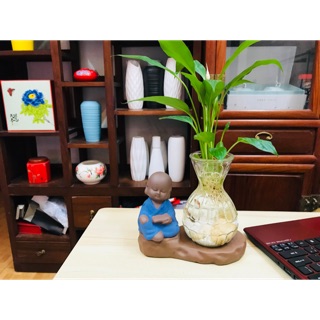 Chú tiểu cây thủy sinh Cầm Kỳ Thi Hoạ