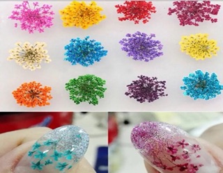 Bộ Hoa, Bộ Đá Làm Nail Khay 12 Màu