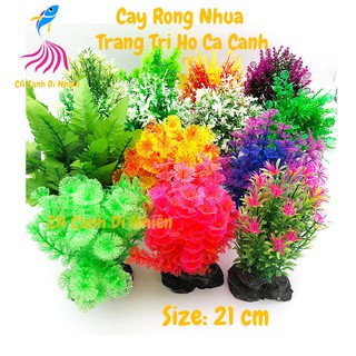 Mô hình cây rong ĐẾ ĐÁ Thủy Sinh 21 cm trang trí hồ cá cảnh nhiều mẫu