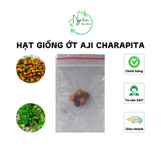 Hạt giống ớt aji charapita - ớt đắt nhất thế giới, 10-15 hạt/ quả