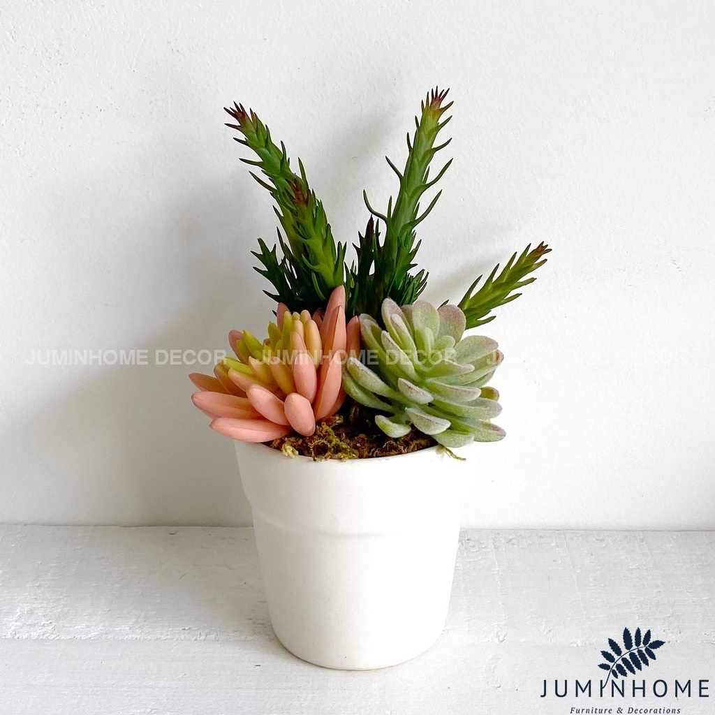 Cây giả Decor - Chậu cây mini Decor Trang trí để bàn